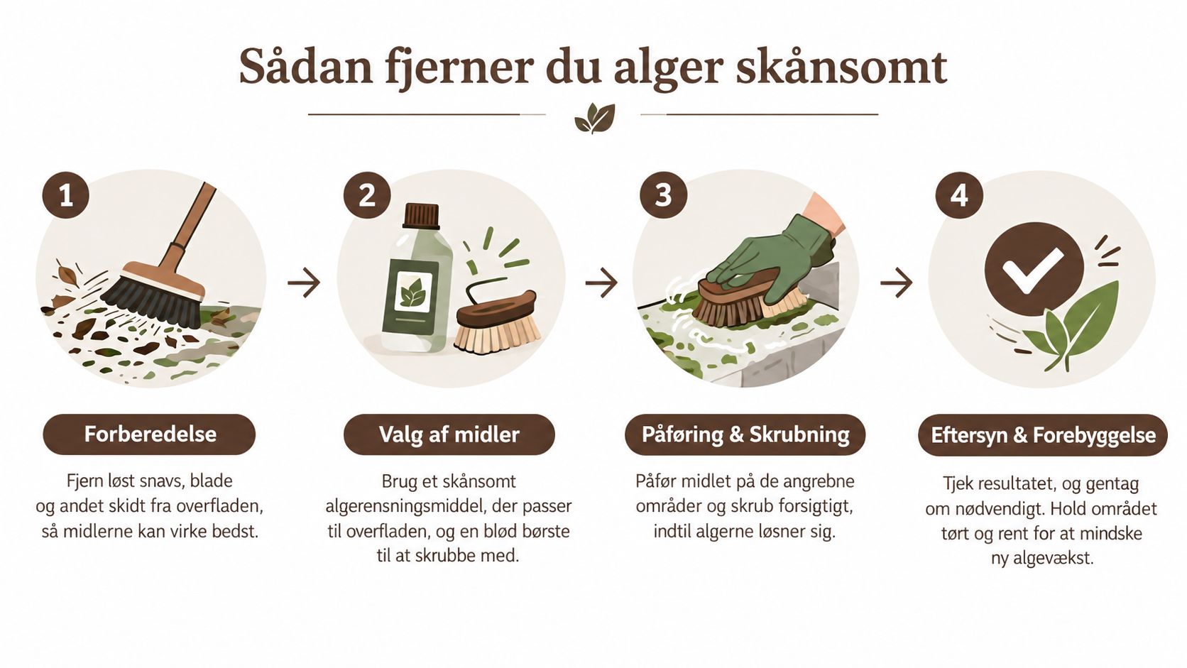 En infografik der viser de fire trin til skånsom fjernelse af alger fra en overflade.