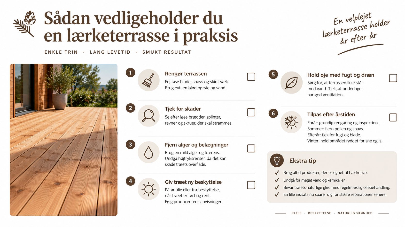 En infografik der guider dig gennem de seks vigtigste trin til korrekt vedligeholdelse af din lærketræsterrasse.