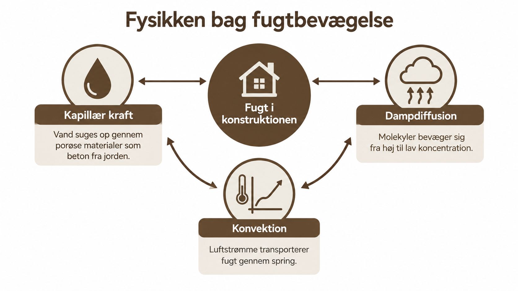 En infografik der illustrerer de fysiske processer bag fugtbevægelse, herunder kapillær kraft, dampdiffusion og konvektion i bygningskonstruktioner.